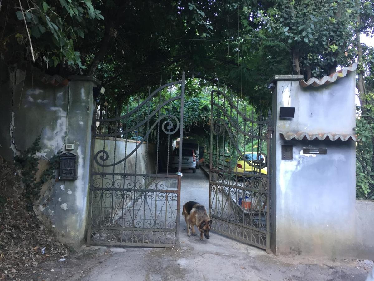 Agula Relais Appartamento Pugnano 外观 照片